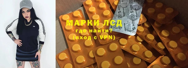 ПСИЛОЦИБИНОВЫЕ ГРИБЫ Баксан