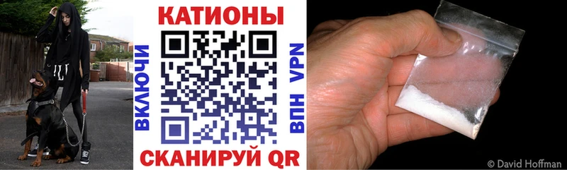 что такое   Чкаловск  МЯУ-МЯУ мяу мяу 