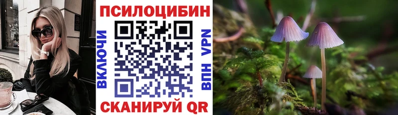Галлюциногенные грибы ЛСД Чкаловск